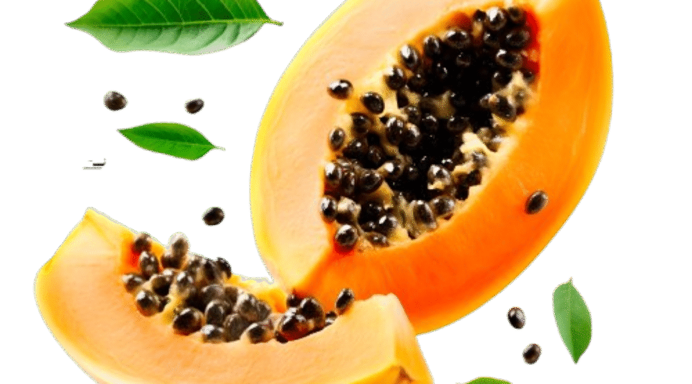 The Nature Fix