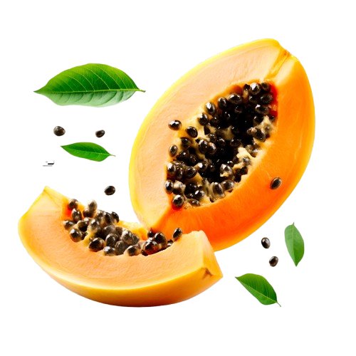 Papaya (Carica papaya)
