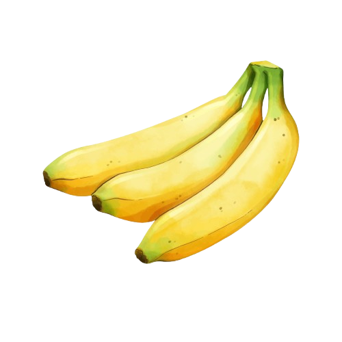 Banana (Musa spp.)