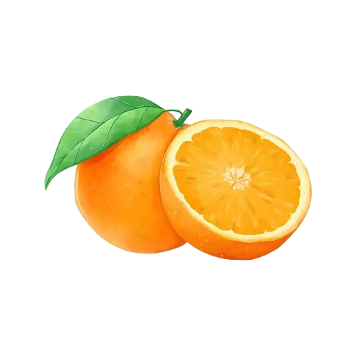 Orange (Citrus × sinensis)