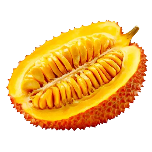 Jackfruit (Artocarpus heterophyllus)