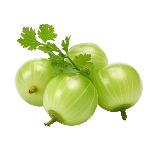 Amla (Indian Gooseberry)