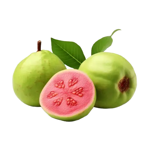 Guava (Psidium guajava)