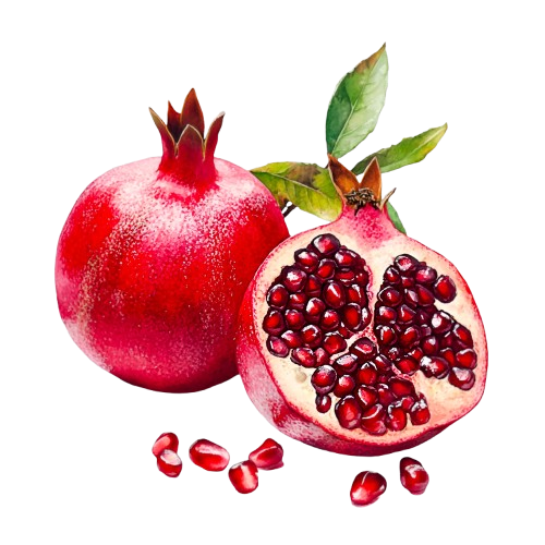 Pomegranate