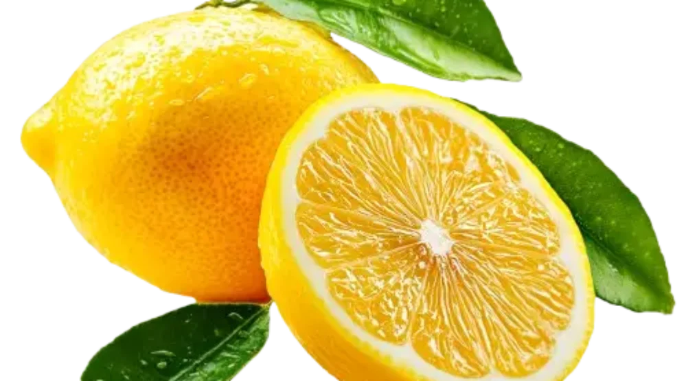 The Nature Fix