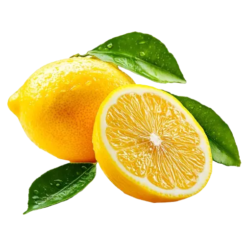 Lemon (Citrus × limon)