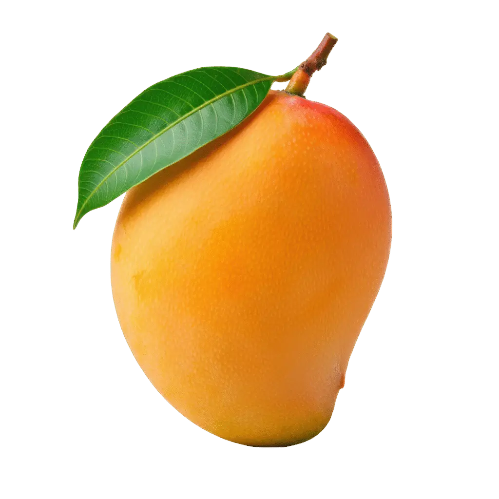 Mango (Mangifera indica)