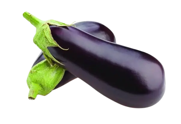 Eggplant (Brinjal)