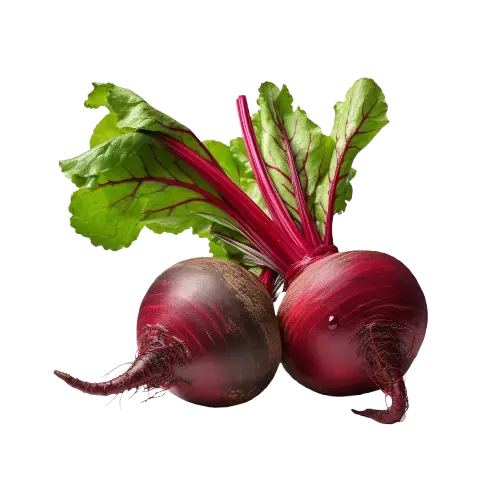 Beetroot (Beta vulgaris)