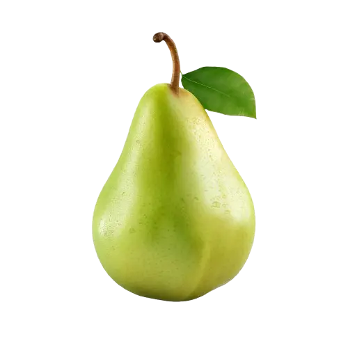 Pear (Pyrus spp.)