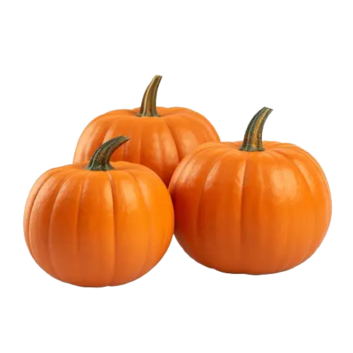 Pumpkin (Cucurbita spp.)