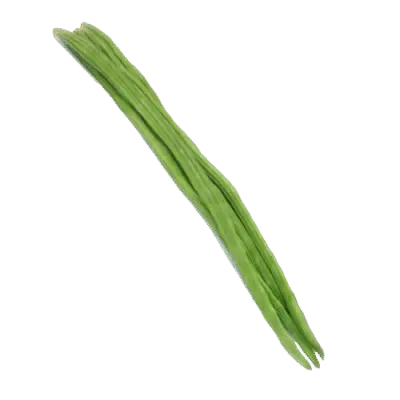 Drumstick Pods (Moringa oleifera)
