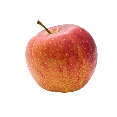 Apple (Malus domestica)