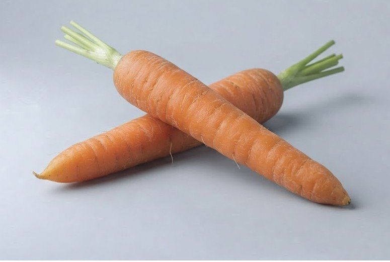 Carrot