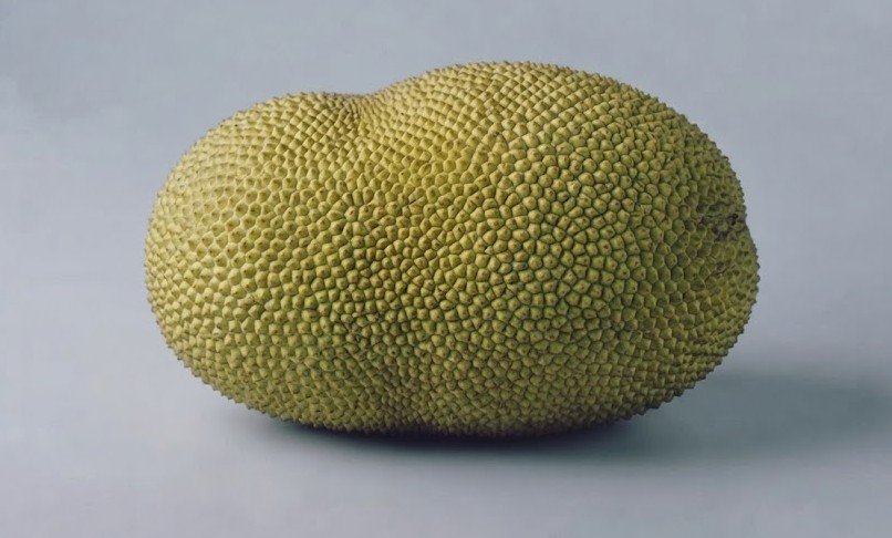 Jackfruit