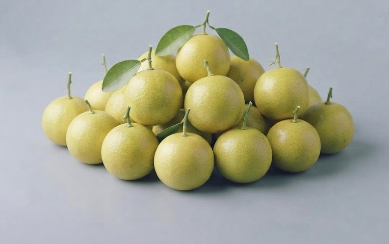 Mosambi