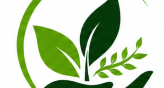 The Nature Fix