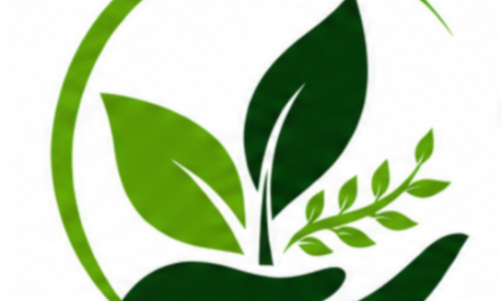 The Nature Fix