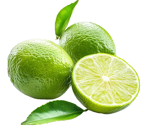 The Nature Fix