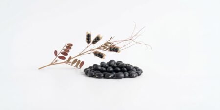 The Nature Fix