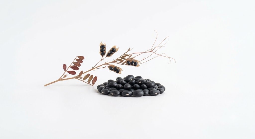 Black Beans