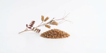 The Nature Fix