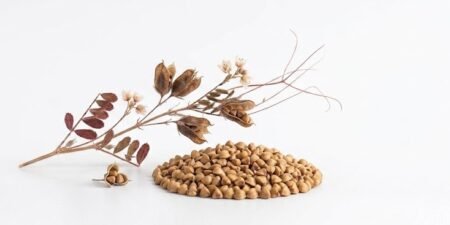 The Nature Fix