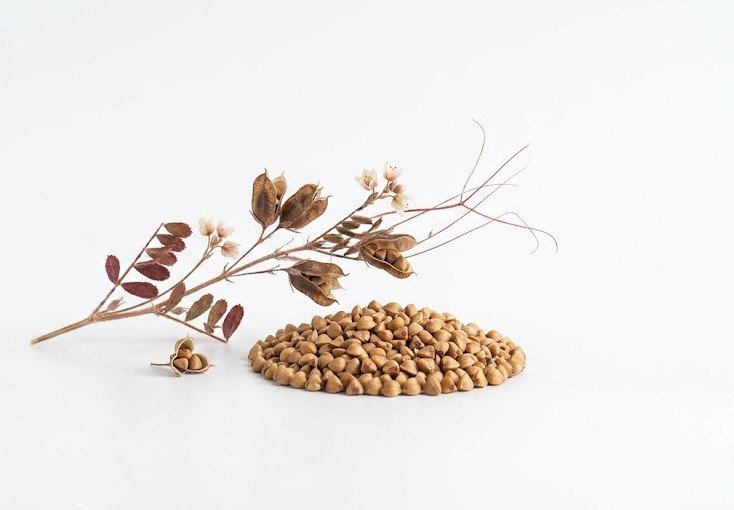 Buckwheat
