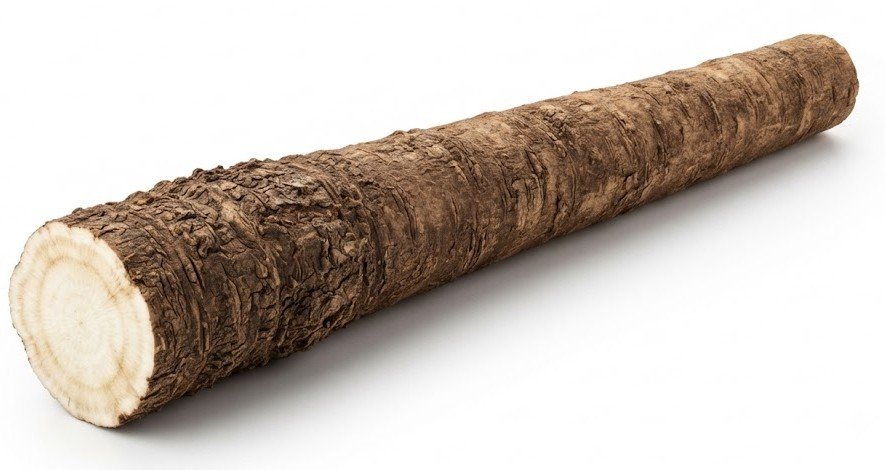 Burdock Root