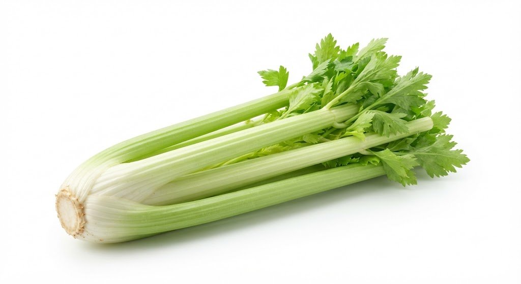 Celery