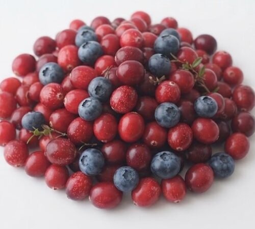 The Nature Fix