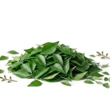 The Nature Fix
