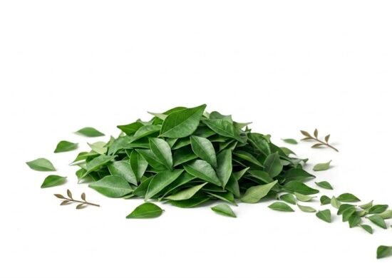 The Nature Fix