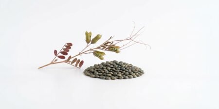 The Nature Fix