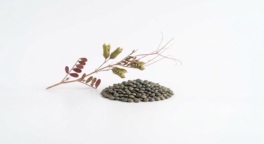 Green Lentil