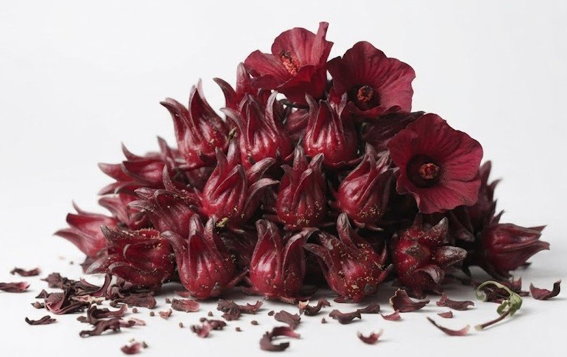 Hibiscus