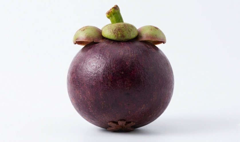Mangosteen