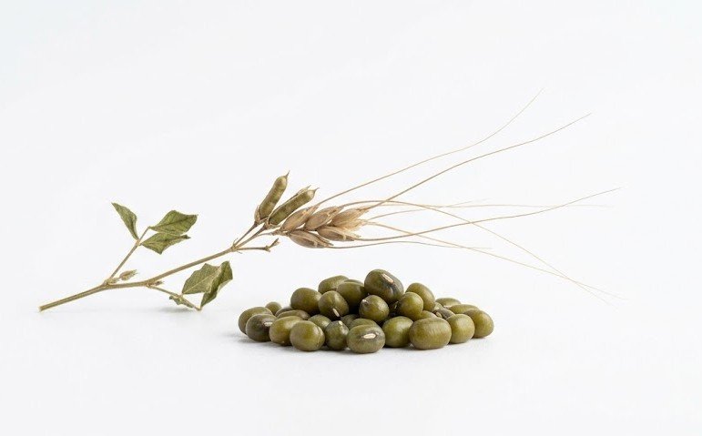 Moong Dal
