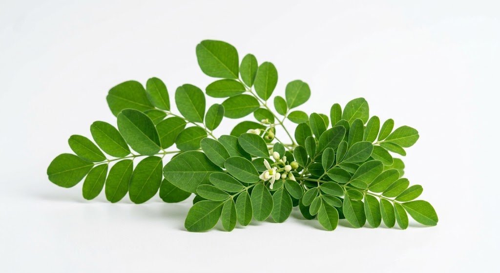 Moringa Leaves