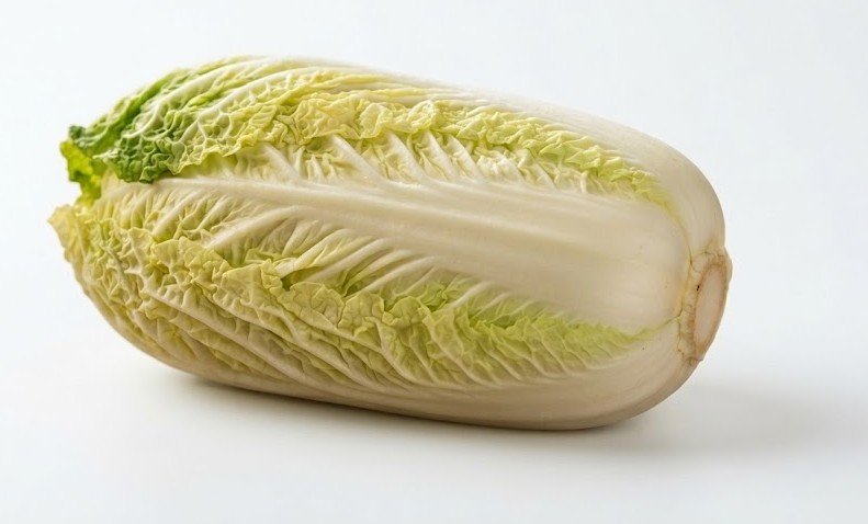 Napa Cabbage