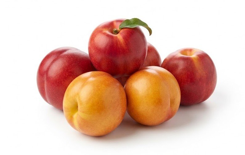 Nectarines