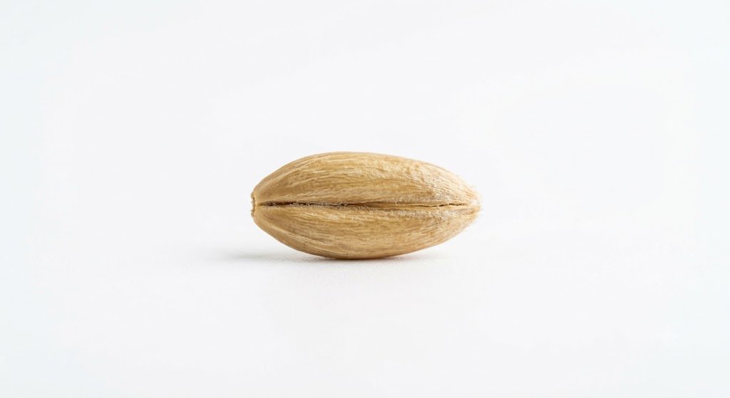 Oats