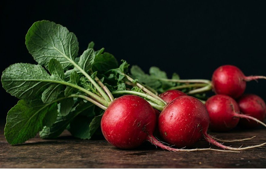 Radish