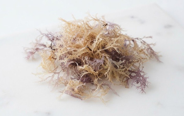 Sea Moss