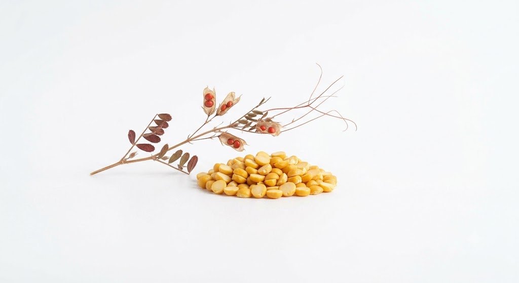 Split Chickpea