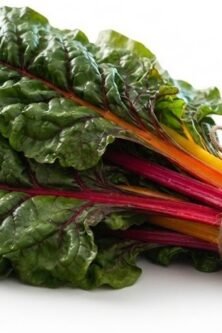 The Nature Fix