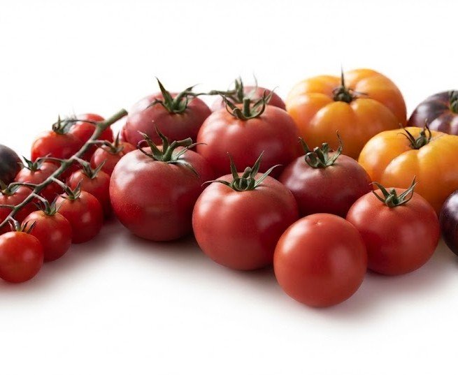 Tomatoes