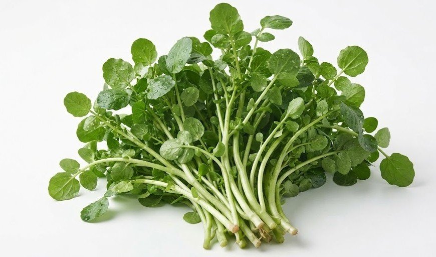 Watercress