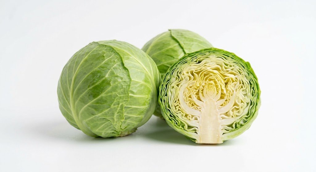 Cabbage