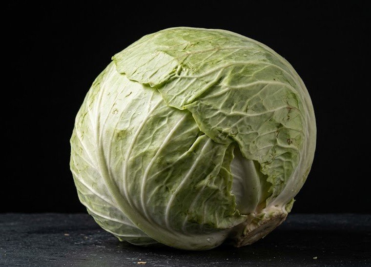 cabbage